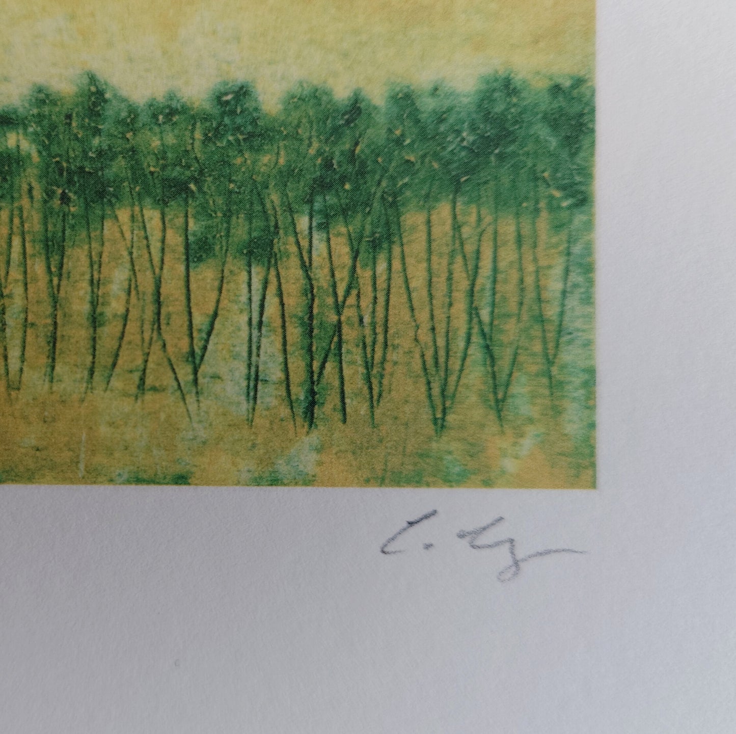 Yellow Fields - Giclee art print